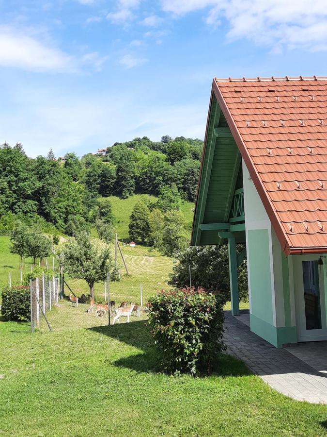Holiday Home Neokrnjena Narava Sevnica Dış mekan fotoğraf