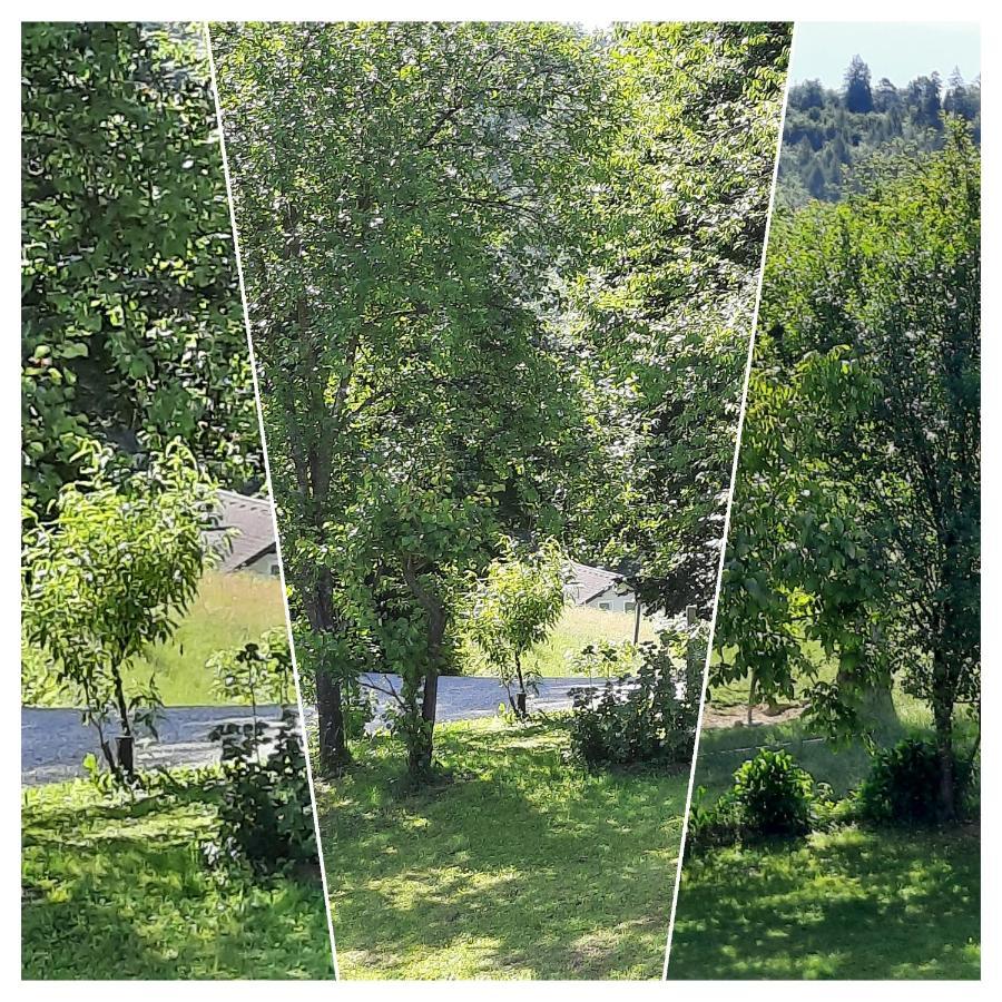 Holiday Home Neokrnjena Narava Sevnica Dış mekan fotoğraf