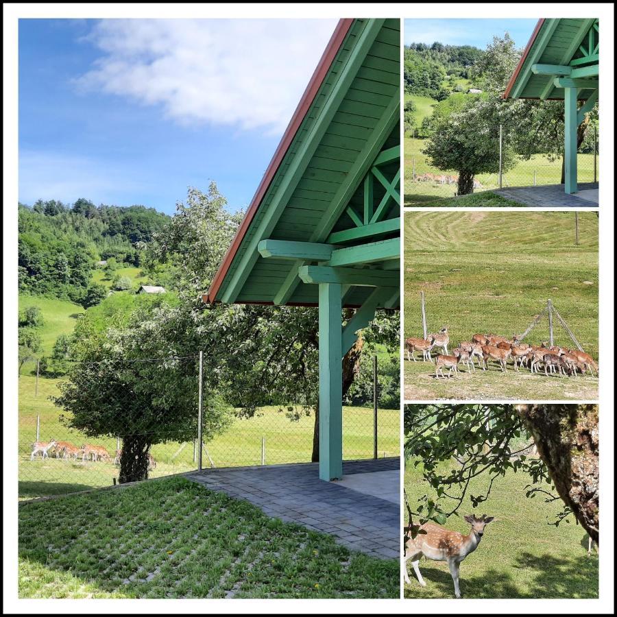 Holiday Home Neokrnjena Narava Sevnica Dış mekan fotoğraf