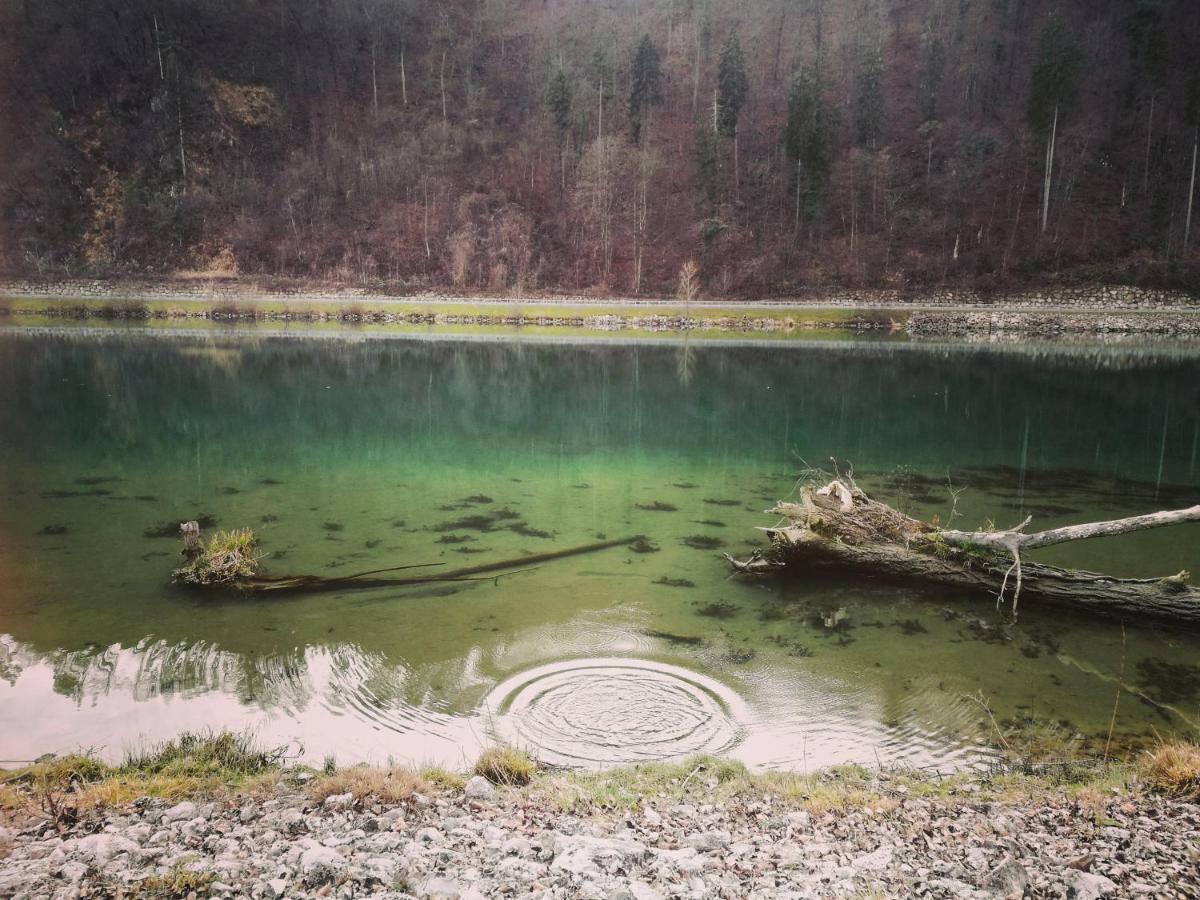 Holiday Home Neokrnjena Narava Sevnica Dış mekan fotoğraf