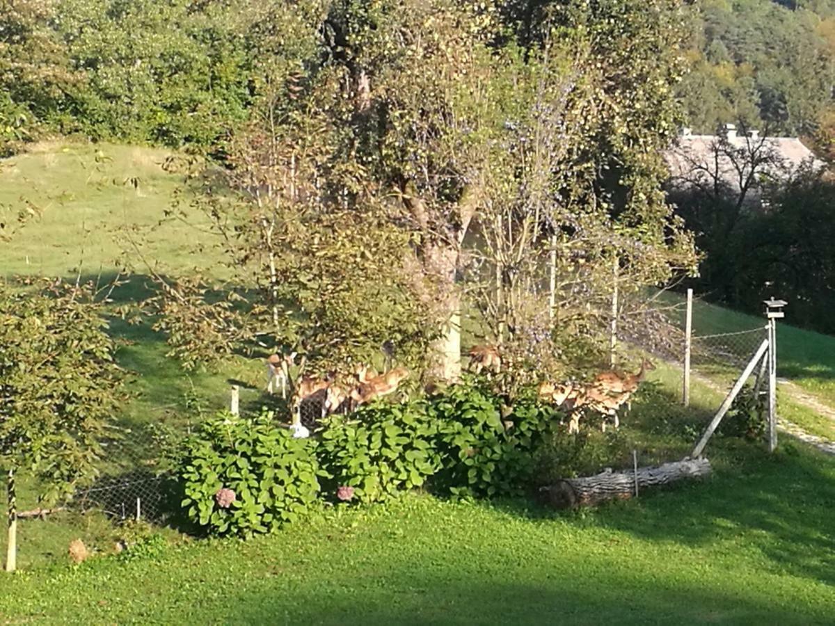 Holiday Home Neokrnjena Narava Sevnica Dış mekan fotoğraf